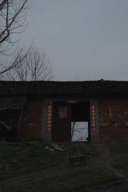 Self-Portrait: Sphinx in 47 Km