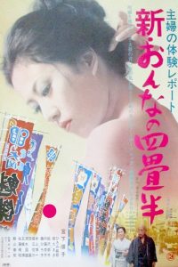 Housewife’s Experience: New Tenement Apartment