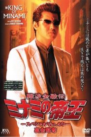 The King of Minami: Special Ver.40