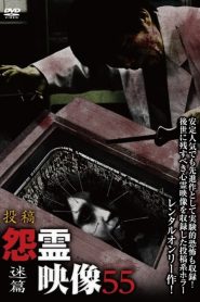 Posted Grudge Spirit Footage Vol.55: Lost Edition