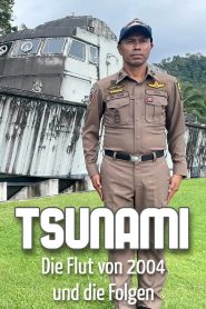 Tsunami – The flood of 2004 and the consequences