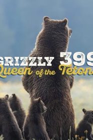 Grizzly 399: Queen of the Tetons