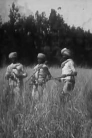 Duke of Connaught’s Indian Tour