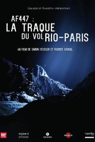 In Search for Flight AF447