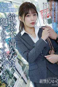 万引き冤罪凌辱 欲求不満な女は、犯されたくてやってくる。