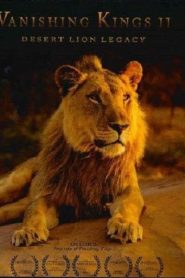 Desert Lions of the Namib – Departure and Return